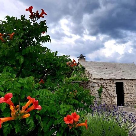 Country House Hacienda Selca (Brac) Exterior foto